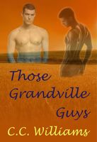 eBook edition cover
