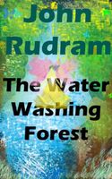 Cover of The Water Washing Forest by John Rudram VII
