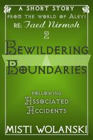 Cover of Bewildering Boundaries by Misti Wolanski