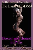 Cover of Boxed and Bound in Paris by Aimelie Aames