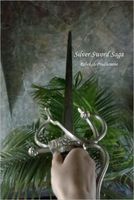 Cover of Silver Sword Saga by Rebekah Prudhomme