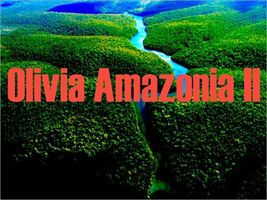Cover of Olivia Amazonia II by Heidi Jacobsen