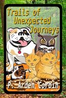 eBook edition cover