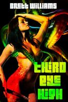 Cover of Third Eye High by Brett Williams