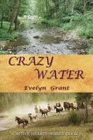 Crazy Water