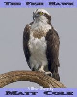 Cover of The Fish Hawk by Matthew Cole