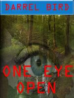 Cover of One Eye Open by Darrel Bird