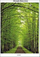 Cover of Through Many Lives by Geltab