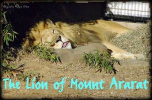 The Lion of Mount Ararat.