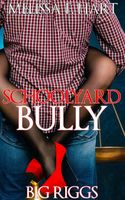 Schoolyard Bully book cover