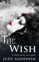 eBook edition cover