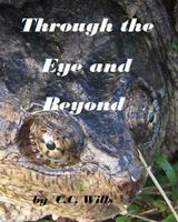 Cover of Through the Eye and Beyond by C.C. Wills