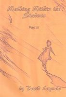 Walking Within the Shadows: Part III
