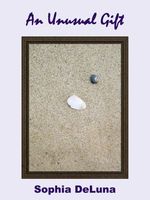 Cover of An Unusual Gift by Sophia DeLuna