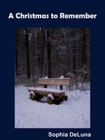 Cover of A Christmas to Remember by Sophia DeLuna