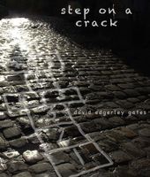 Cover of Step on A Crack by David Edgerley Gates