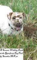 A Summer Wedding Death at the Riverfront Dog Park