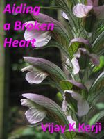 Cover of Aiding a Broken Heart: A Love Story by Vijay K. Kerji