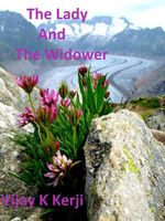 Cover of The Lady And The Widower by Vijay K. Kerji