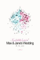 Indelible Lovin' - Max & Jane's Wedding