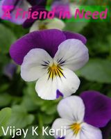 Cover of A Friend in Need by Vijay K. Kerji