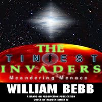 Cover of Meandering Menace by William Bebb