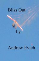 Cover of Bliss Out by Andrew Evich
