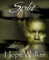 eBook edition cover
