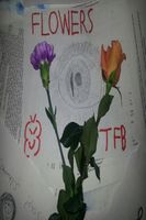 Cover of Flowers by T.F.B