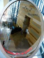 Cover of Mirrors by Shane Rynhart