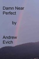 Cover of Damn Near Perfect by Andrew Evich