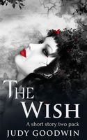 eBook edition cover