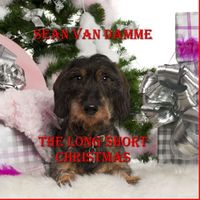 Cover of The Long Short Christmas by Sean Van Damme