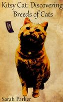Cover of Kitsy Cat: Discovering Breeds of Cats by Sarah Parker