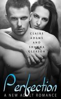 Cover of Perfection by Claire Adams