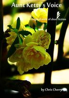 Cover of Aunt Ketty's Voice by Chris Cherry
