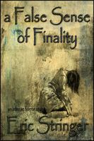 Cover of A False Sense of Finality by Eric Stringer