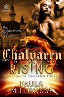 eBook edition cover