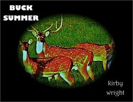 Cover of BUCK SUMMER by Kirby Wright