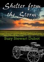 Shelter from the Storm
