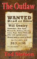 Cover of The Outlaw by Ted Stetson