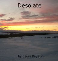 Cover of Desolate by Laura Payeur