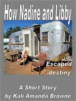 eBook edition cover