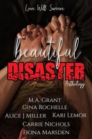 Beautiful Disaster