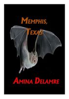 Cover of Memphis, Texas by Amina Delamere