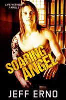Cover of Soaring Angel by Jeff Erno