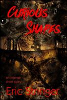 Cover of Curious Shapes by Eric Stringer