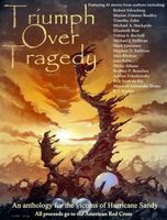 Cover of Triumph Over Tragedy by R.T. Kaelin