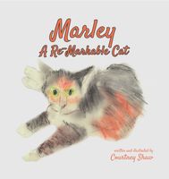 eBook edition cover