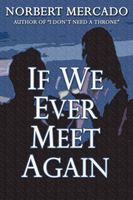 If We Ever Meet Again